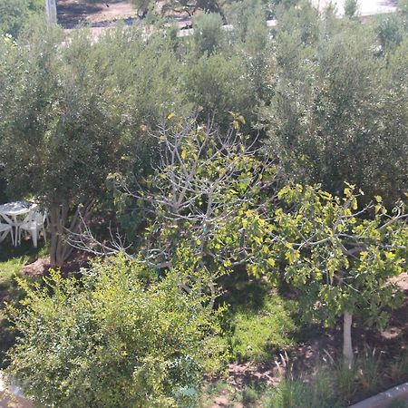 Bed and Breakfast Les Jardins Fleuris Essaouira Exterior foto