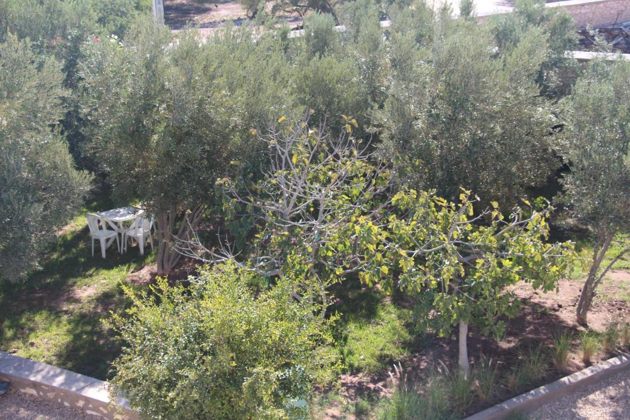 Bed and Breakfast Les Jardins Fleuris Essaouira Exterior foto